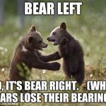 cubs | BEAR LEFT; NO, IT'S BEAR RIGHT.   
(WHEN BEARS LOSE THEIR BEARINGS) | image tagged in cubs | made w/ Imgflip meme maker