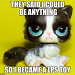 Grumpy LPS | THEY SAID I COULD BE ANYTHING; SO I BECAME A LPS TOY | image tagged in grumpy lps | made w/ Imgflip meme maker