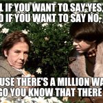 Harold and Maude with Daises, Pensive | WELL IF YOU WANT TO SAY YES, SAY YES
AND IF YOU WANT TO SAY NO, SAY NO
'; CAUSE THERE'S A MILLION WAYS TO GO
YOU KNOW THAT THERE ARE | image tagged in harold and maude with daises pensive | made w/ Imgflip meme maker