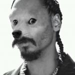 Snoopdoge meme