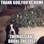 Dog Christmas Tree | THANK GOD YOU'RE HOME; THE RUSSIANS BROKE THE TREE! | image tagged in dog christmas tree | made w/ Imgflip meme maker