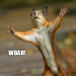 Off Topic Squirrel | WOAH! | image tagged in off topic squirrel | made w/ Imgflip meme maker