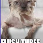 How to Baptiste your cat | CLOSE LID; FLUSH THREE TIMES | image tagged in wet cat,baptism baby,memes,funny,funny dogs | made w/ Imgflip meme maker