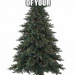Christmas tree | POST A PHOTO OF YOUR; CHRISTMAS TREE | image tagged in christmas tree | made w/ Imgflip meme maker