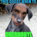 Dog Human | THIS DOGGY WHEN TO; CHERNOBYL | image tagged in dog human | made w/ Imgflip meme maker