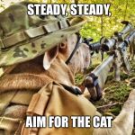 Remember aim for the cat | STEADY, STEADY, AIM FOR THE CAT | image tagged in remember aim for the cat | made w/ Imgflip meme maker