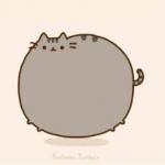 pusheen