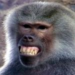 monkey smile