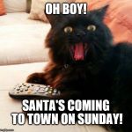 When you hear that Santa's coming to town this Sunday.... | OH BOY! SANTA'S COMING TO TOWN ON SUNDAY! | image tagged in oh boy cat,memes,christmas,cats,santa,santa claus parade | made w/ Imgflip meme maker