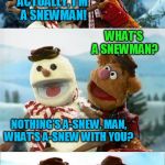 Christmas Puns With Fozzie Bear | THIS MUST BE PERFECT WEATHER FOR BEING A SNOWMAN; ACTUALLY, I'M A SNEWMAN! WHAT'S A SNEWMAN? NOTHING'S A-SNEW, MAN, WHAT'S A-SNEW WITH YOU? WAKA! WAKA! | image tagged in christmas puns with fozzie bear,christmas memes,fozzie bear jokes,waka waka,the muppets,funny memes | made w/ Imgflip meme maker