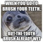 SEALS | WHEN YOU GO TO BRUSH YOUR TEETH.. BUT THE TOOTH BRUSH ALREADY WET | image tagged in seals | made w/ Imgflip meme maker