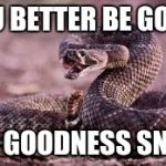 snakesz | YOU BETTER BE GOOD; FOR GOODNESS SNAKE | image tagged in snakesz | made w/ Imgflip meme maker