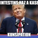 Constipated Trump | MY INTESTINS HAZ A KASE UV; KUNSIPATION | image tagged in constipated trump | made w/ Imgflip meme maker