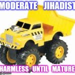 toy truck | MODERATE    JIHADIST; HARMLESS   UNTIL   MATURE | image tagged in toy truck | made w/ Imgflip meme maker