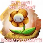 Flowey can't feely. | Why can't I feel  my legs? MOMMY?! DADDY?! | image tagged in flowey,feelings | made w/ Imgflip meme maker