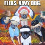 YMCA dogs | FLEAS, NAVY DOG. | image tagged in ymca dogs | made w/ Imgflip meme maker