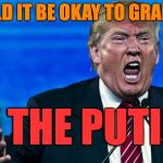 Pace_Yourself_Donald | WOULD IT BE OKAY TO GRAB HIM; BY THE PUTIN? | image tagged in pace_yourself_donald | made w/ Imgflip meme maker