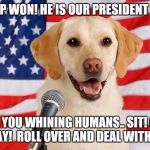 Vote for Ford! | TRUMP WON!
HE IS OUR PRESIDENT ELECT; TO ALL YOU WHINING HUMANS..
SIT! QUIET! STAY! 
ROLL OVER AND DEAL WITH IT! | image tagged in vote for ford | made w/ Imgflip meme maker