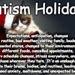 Compliance Cat Holidays | Autism Holidays; Expectations, anticipation, changes in routine, bad weather, visiting family, louder, crowded stores, changes to their environments, different foods, cancelled appointments, tv schedule changes, stress everywhere, and chaos wherever they turn.

It's an onslaught to their brains, bodies, and routines, leading to increased anxiety, meltdowns, and unexpected behaviors. | image tagged in compliance cat holidays | made w/ Imgflip meme maker
