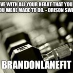 gym weights | BELIEVE WITH ALL YOUR HEART THAT YOU WILL DO WHAT YOU WERE MADE TO DO. - ORISON SWETT MARDEN; BRANDONLANEFIT | image tagged in gym weights | made w/ Imgflip meme maker