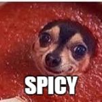 Sauce it up pupper | SPICY | image tagged in sauce it up pupper | made w/ Imgflip meme maker