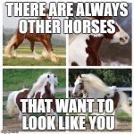Horses | THERE ARE ALWAYS OTHER HORSES; THAT WANT TO LOOK LIKE YOU | image tagged in horses | made w/ Imgflip meme maker