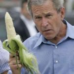 Bush Corn | WHAT'S POPPIN'? | image tagged in bush corn | made w/ Imgflip meme maker