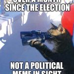 Cat with binoculars  | OVER A MONTH SINCE THE ELECTION; NOT A POLITICAL MEME IN SIGHT | image tagged in cat with binoculars | made w/ Imgflip meme maker