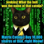 Business Cat knows a Purrrrfect deal when he hallucinates one!  | Jenkins! What the hell was the name of that catnip? Matrix Catnip? Buy 10,000 shares of that, right Meow! | image tagged in business cat matrix,evilmandoevil,memes,funny | made w/ Imgflip meme maker
