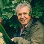 David Attenborough A life on Earth meme