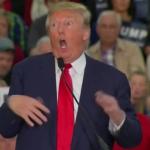 Donald Trump Mocking Disabled meme