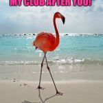 Pink Flamingo | SO THE BARTENDER SAYS, "HEY, I NAMED MY CLUB AFTER YOU!"; I WAS LIKE, "YOU NAMED YOUR CLUB SARAH?" | image tagged in pink flamingo | made w/ Imgflip meme maker