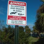Do Not Feed the Gators