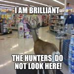 Hiding in the open | I AM BRILLIANT; THE HUNTERS 
DO NOT LOOK HERE! | image tagged in dear deer,deer,hiding,homefree | made w/ Imgflip meme maker