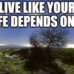 Sunrise to sunset | LIVE LIKE YOUR LIFE DEPENDS ON IT. | image tagged in sunrise to sunset | made w/ Imgflip meme maker