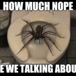 Toilet Spider | HOW MUCH NOPE; ARE WE TALKING ABOUT? | image tagged in toilet spider | made w/ Imgflip meme maker