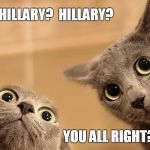 I CAN GLOAT BECAUSE I LOST AN ELECTION ONCE AND WAS DEVASTATED BUT GOT UP OFF THE FLOOR AND KEPT GOING | HILLARY?  HILLARY? YOU ALL RIGHT? | image tagged in lcd_cats,hillary clinton 2016,funny cats,election 2016 aftermath | made w/ Imgflip meme maker