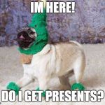 Christmas Pug | IM HERE! DO I GET PRESENTS? | image tagged in christmas pug | made w/ Imgflip meme maker