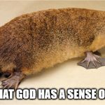 The Platypus | PROOF THAT GOD HAS A SENSE OF HUMOR | image tagged in the platypus | made w/ Imgflip meme maker