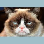 grumpycat