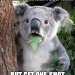 Shocked Koala | THAT FACE YOU MAKE WHEN YOU ANGLE YOUR TANK; BUT GET ONE-SHOT ANYWAY | image tagged in shocked koala | made w/ Imgflip meme maker