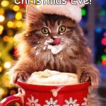 Meowy Christmas Eve! | Meowy; Christmas Eve! | image tagged in xmas cats,cute,santa,hot chocolate,holiday | made w/ Imgflip meme maker