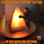 Always wondered what was in the "Beyond" section.  | PHOTOGRAPHIC EVIDENCE OF WHAT THEY SELL IN THE "BEYOND" SECTION; OF BED BATH AND BEYOND. KITTEN CHARGERS. | image tagged in cat worship | made w/ Imgflip meme maker