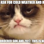 DISAPPROVING GRUMPY CAT | DID I ASK FOR COLD WEATHER AND RAIN? NO. I ORDERED SUN AND 2017, THIS IS NOT IT. | image tagged in disapproving grumpy cat | made w/ Imgflip meme maker