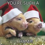Christmas pigs | YOU'RE SUCH A; HAM!!! | image tagged in christmas pigs | made w/ Imgflip meme maker
