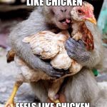 monkey chicken | HOLD ON, LET ME GUESS. UMMM, SMELLS LIKE CHICKEN; FEELS LIKE CHICKEN, AND TASTES LIKE CHICKEN. MUST BE CHICKEN! | image tagged in monkey chicken | made w/ Imgflip meme maker