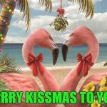 kiss me | MERRY KISSMAS TO YOU! | image tagged in kiss me | made w/ Imgflip meme maker