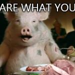 Pig Eats Ham | YOU ARE WHAT YOU EAT! | image tagged in pig eats ham | made w/ Imgflip meme maker