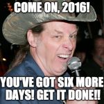 Ted Nugent | COME ON, 2016! YOU'VE GOT SIX MORE DAYS! GET IT DONE!! | image tagged in ted nugent | made w/ Imgflip meme maker
