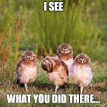 Owl side-eye | I SEE; WHAT YOU DID THERE... | image tagged in owl side-eye | made w/ Imgflip meme maker